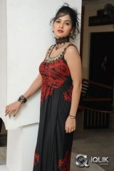 Madhumitha at Maine Pyar Kiya Movie Success Meet